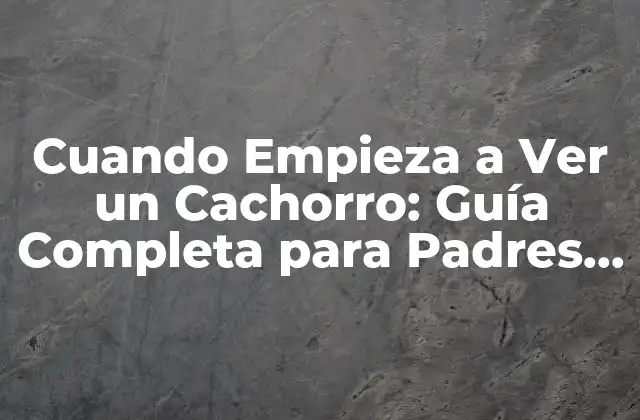 Cuando Empieza a Ver un Cachorro: Guía Completa para Padres Primerizos 2 Desarrollo Visual en el Útero