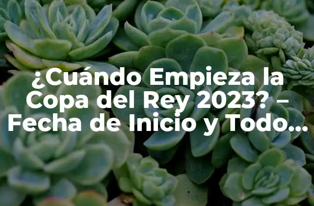 ¿cuándo Empieza la Copa Del Rey 2023? – Fecha de Inicio y Todo Lo que Debes Saber