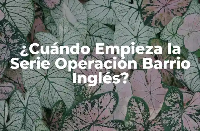 ¿cuándo Empieza la Serie Operación Barrio Inglés? 2 La Creación de Operación Barrio Inglés
