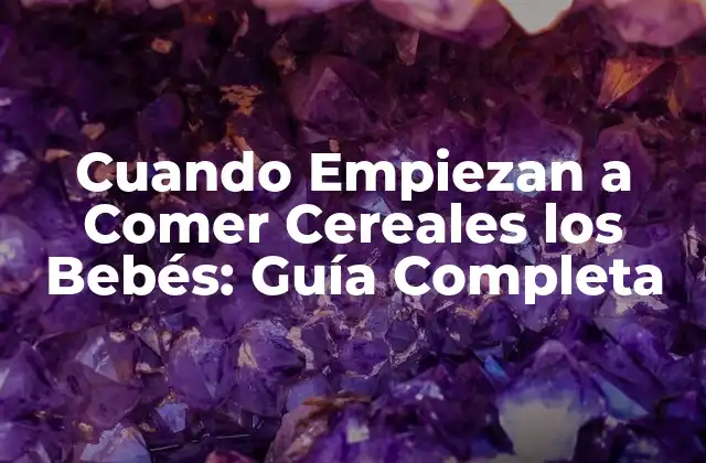 Cuando Empiezan a Comer Cereales los Bebés: Guía Completa
