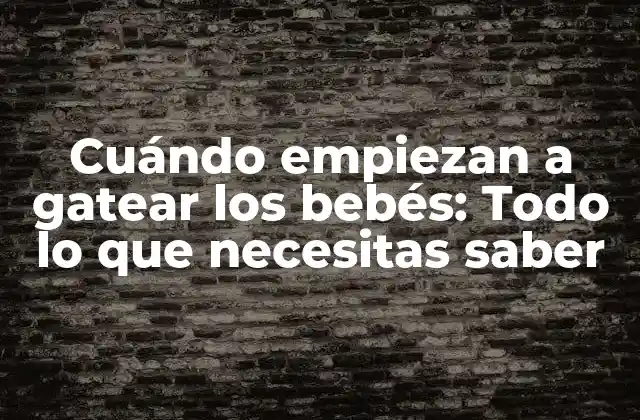¿Cuál es la edad promedio para empezar a gatear?