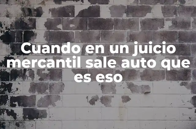 Cuando en un Juicio Mercantil Sale Auto que es Eso