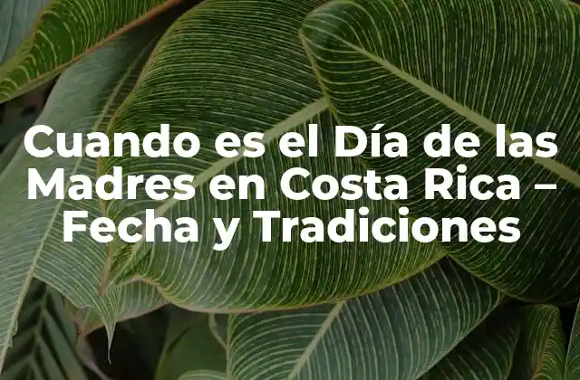 Cuando es el Día de las Madres en Costa Rica – Fecha y Tradiciones