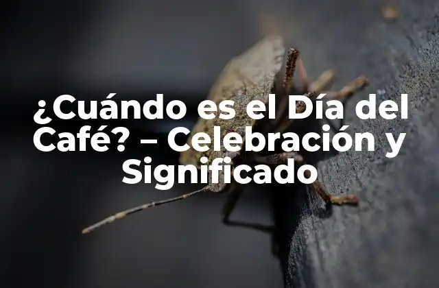 ¿cuándo es el Día Del Café? – Celebración y Significado