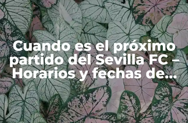 Cuando es el Próximo Partido Del Sevilla Fc – Horarios y Fechas de los Próximos Encuentros