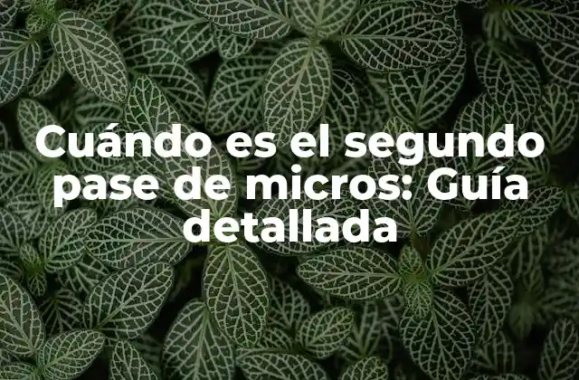 Cuándo es el Segundo Pase de Micros: Guía Detallada