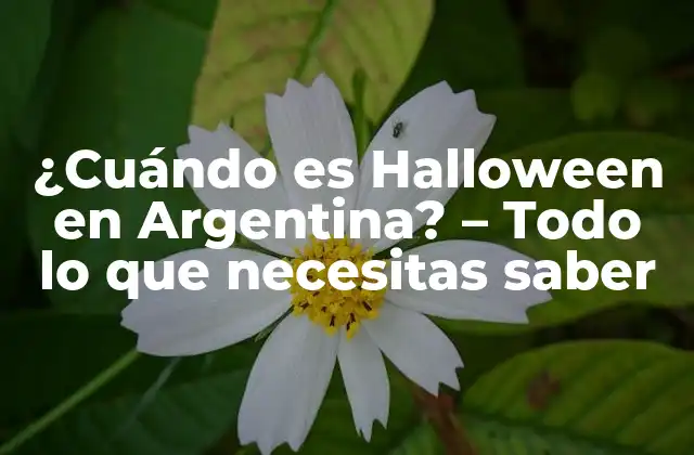 ¿cuándo es Halloween en Argentina? – Todo Lo que Necesitas Saber