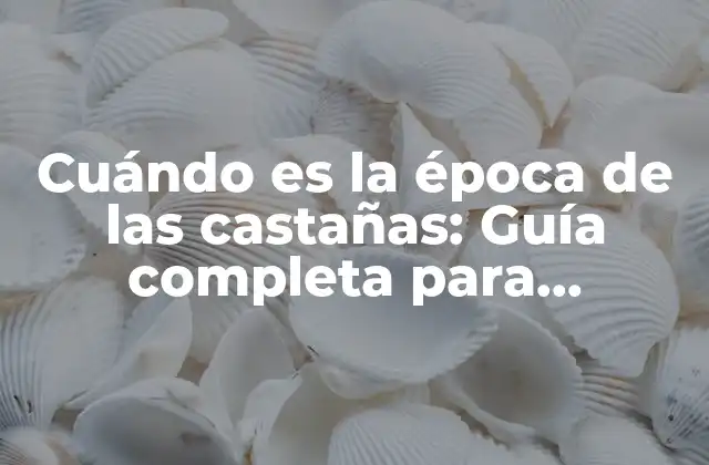 Cuándo es la Época de las Castañas: Guía Completa para Disfrutar de Esta Delicia Otoñal