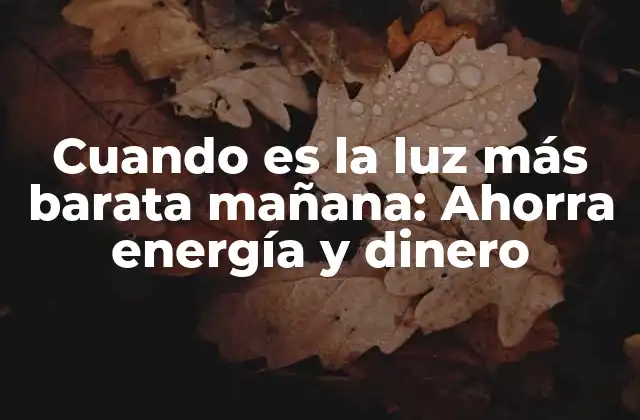 Cuando es la Luz Más Barata Mañana: Ahorra Energía y Dinero