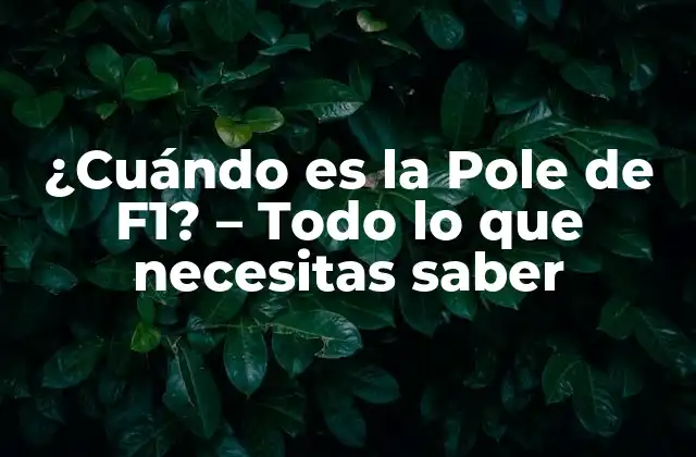 ¿Qué es la Pole Position en Fórmula 1?