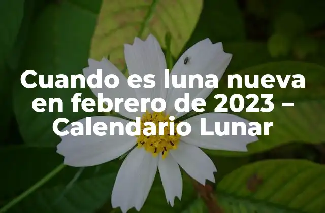 Cuando es Luna Nueva en Febrero de 2023 – Calendario Lunar