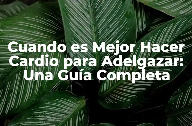 Cuando es Mejor Hacer Cardio para Adelgazar: una Guía Completa