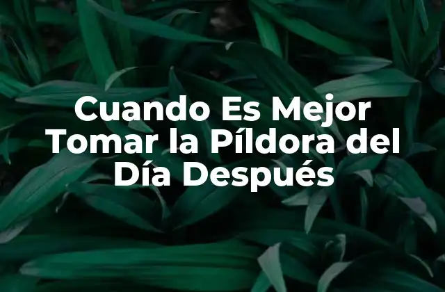 ¿Qué es la Píldora del Día Después?