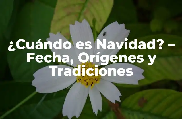 ¿cuándo es Navidad? - Fecha, Orígenes y Tradiciones 2 Orígenes de la Navidad: La Fiesta de la Luz