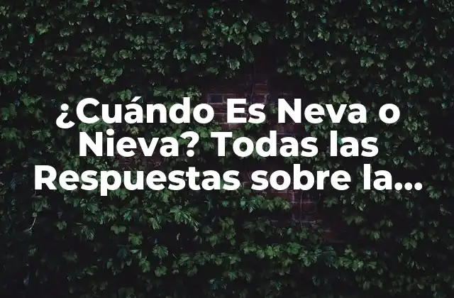 ¿cuándo es Neva o Nieva? Todas las Respuestas sobre la Neve en España