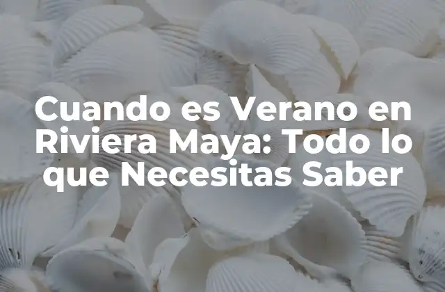 Cuando es Verano en Riviera Maya: Todo Lo que Necesitas Saber