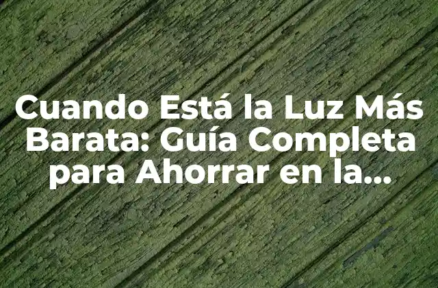 Cuando Está la Luz Más Barata: Guía Completa para Ahorrar en la Factura de la Luz