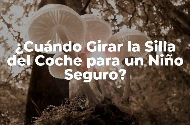 ¿cuándo Girar la Silla Del Coche para un Niño Seguro?