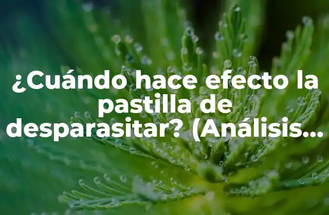 ¿cuándo Hace Efecto la Pastilla de Desparasitar? (análisis y Respuestas)