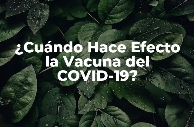 ¿cuándo Hace Efecto la Vacuna Del Covid-19?