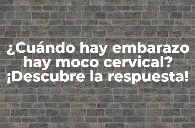 ¿Qué es el moco cervical?