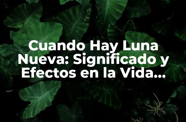 Cuando Hay Luna Nueva: Significado y Efectos en la Vida Cotidiana