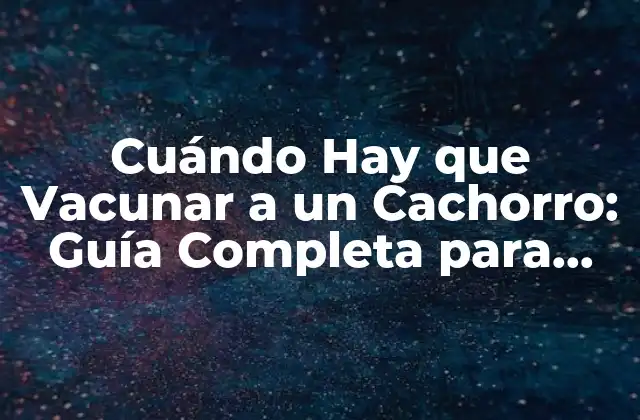 Cuándo Hay que Vacunar a un Cachorro: Guía Completa para Propietarios de Perros