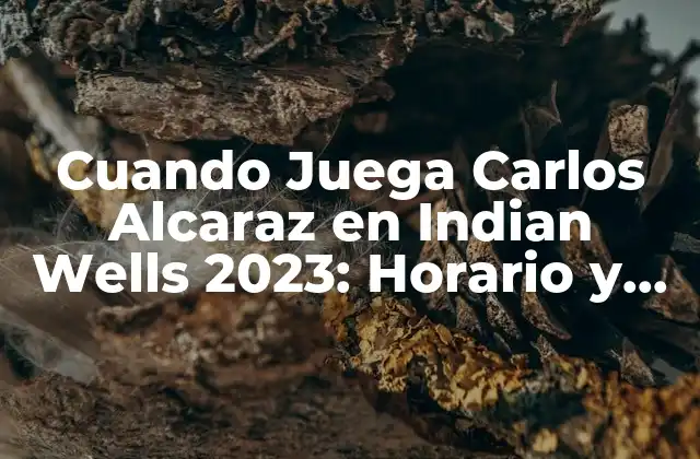 Cuando Juega Carlos Alcaraz en Indian Wells 2023: Horario y Fecha de Partidos