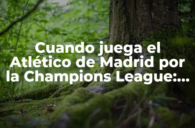 Cuando Juega el Atlético de Madrid por la Champions League: Todo Lo que Debes Saber