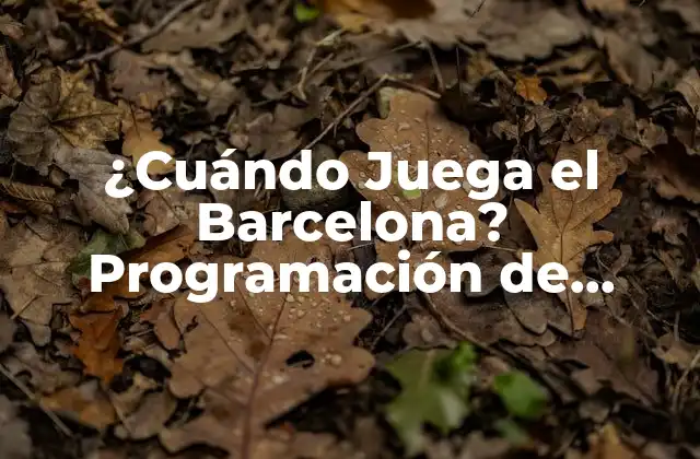 ¿cuándo Juega el Barcelona? Programación de Partidos y Horarios de Fútbol 2 La Liga y la Programación de Partidos del Barcelona