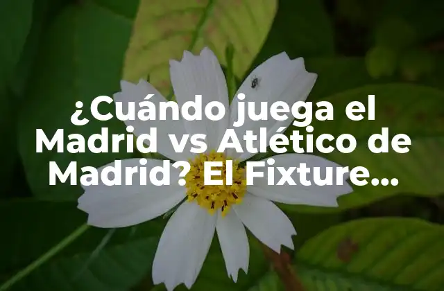 ¿cuándo Juega el Madrid Vs Atlético de Madrid? el Fixture Completo