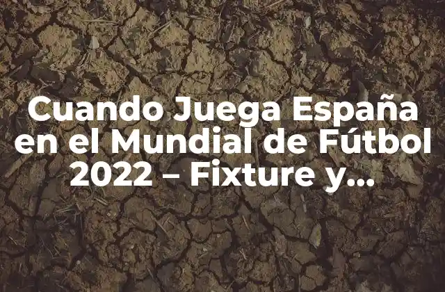 Cuando Juega España en el Mundial de Fútbol 2022 – Fixture y Horarios