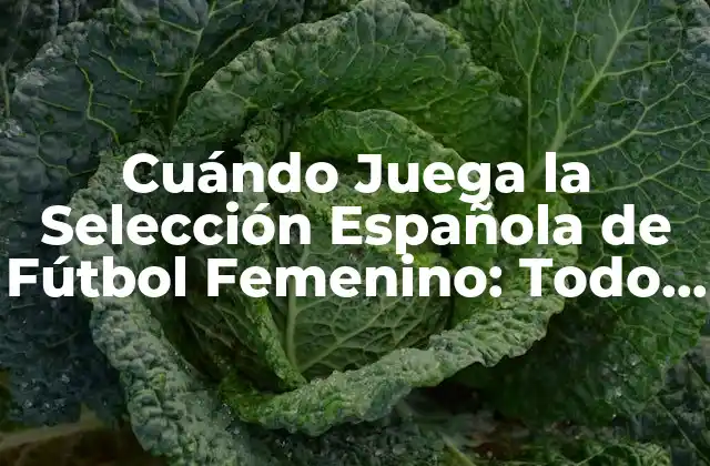Cuándo Juega la Selección Española de Fútbol Femenino: Todo Lo que Necesitas Saber
