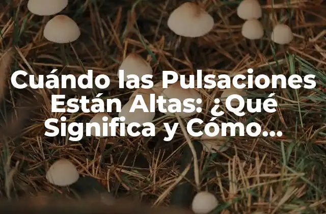 Cuándo las Pulsaciones Están Altas: ¿qué Significa y Cómo Preocuparse?