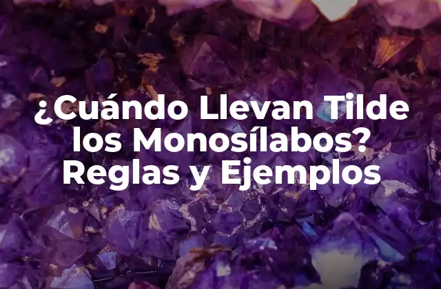 ¿cuándo Llevan Tilde los Monosílabos? Reglas y Ejemplos 2 Regla General: Monosílabos sin Tilde
