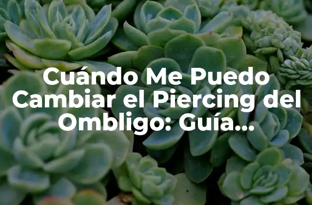 Cuándo Me Puedo Cambiar el Piercing Del Ombligo: Guía Definitiva