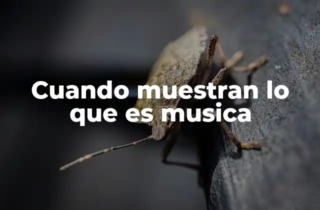 Cuando Muestran Lo que es Musica