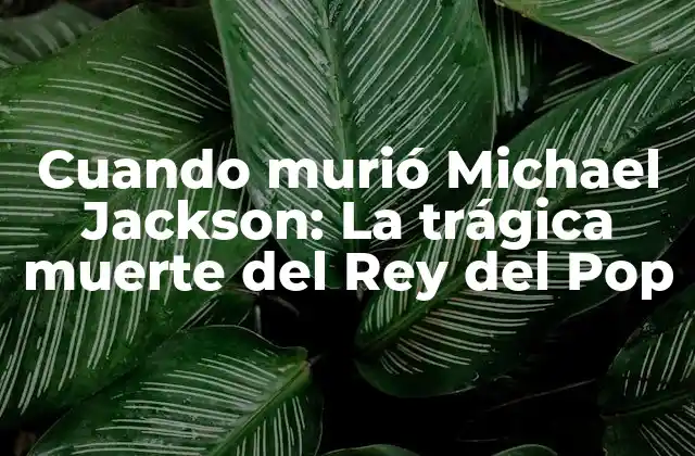 Cuando Murió Michael Jackson: la Trágica Muerte Del Rey Del Pop