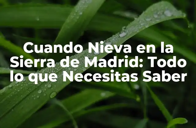 ¿Cuándo Nieva en la Sierra de Madrid?