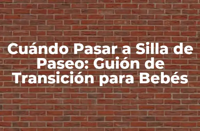 ¿Cuál es la Edad Adecuada para Pasar a una Silla de Paseo?