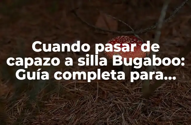 Cuando Pasar de Capazo a Silla Bugaboo: Guía Completa para Padres