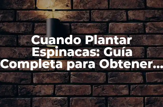Cuando Plantar Espinacas: Guía Completa para Obtener una Cosecha Abundante