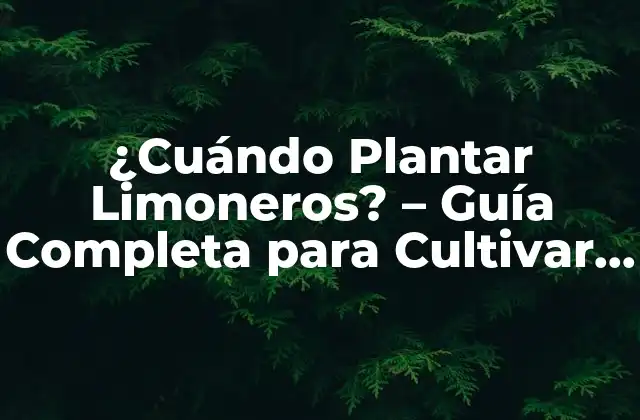 ¿cuándo Plantar Limoneros? – Guía Completa para Cultivar Limones
