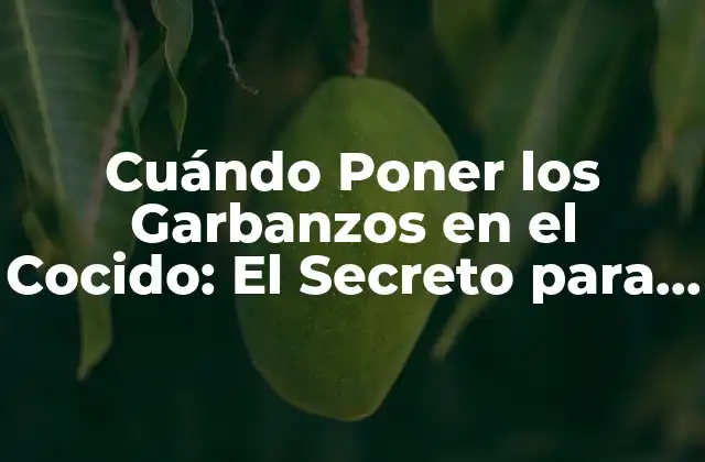 Cuándo Poner los Garbanzos en el Cocido: el Secreto para un Plato Auténtico