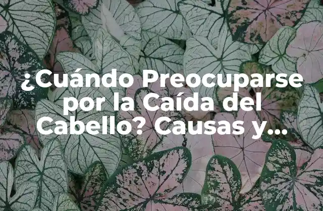 Causas de la Caída del Cabello