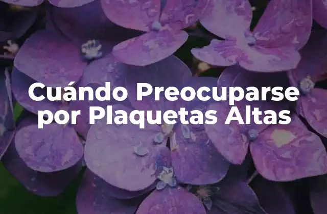 Cuándo Preocuparse por Plaquetas Altas