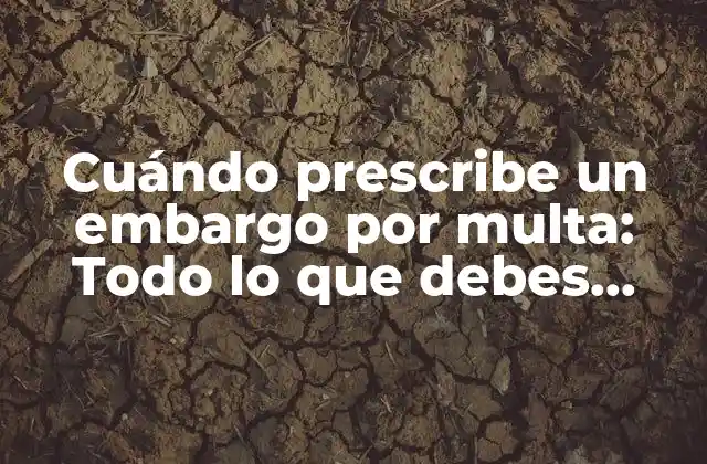 Cuándo Prescribe un Embargo por Multa: Todo Lo que Debes Saber