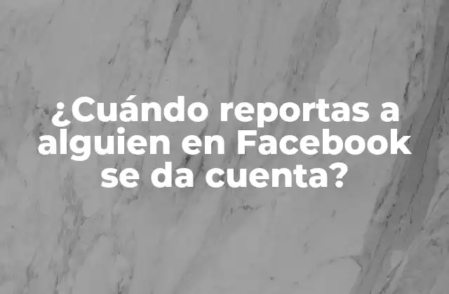 ¿Qué es la función de denuncia en Facebook?