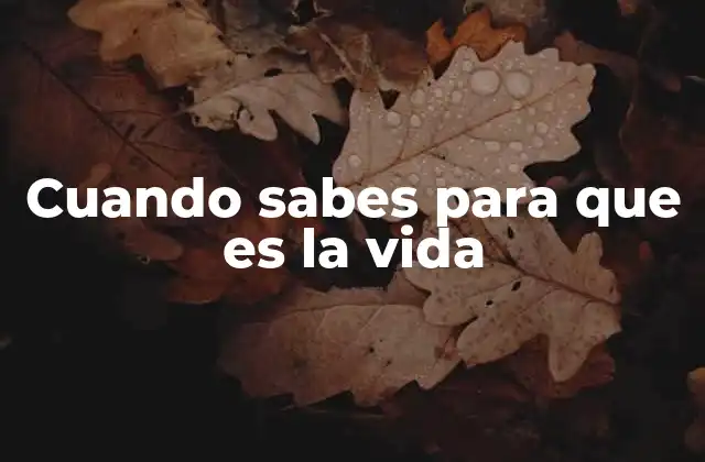 Cuando Sabes para que es la Vida