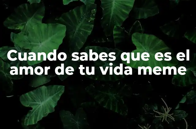 Cómo el meme refleja las emociones modernas en el amor